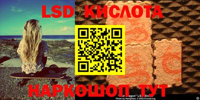 винт Шахты