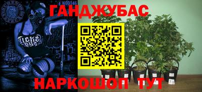прущий лед Шелехов