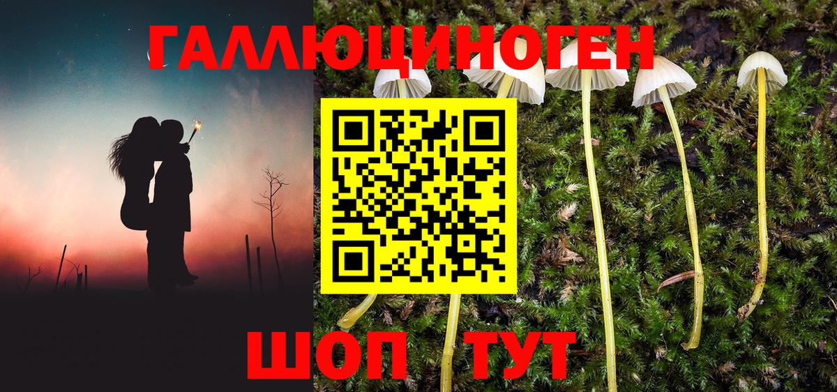 Кудымкар  Галлюциногенные грибы MAGIC MUSHROOMS  Вход с VPN  Галлюциногенные грибы MAGIC MUSHROOMS 